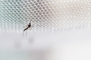 Mosquiteras metálicas
